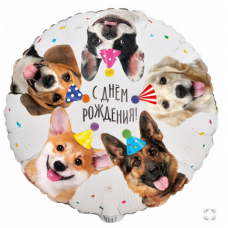  К 18" РУС ДР Собачки фотографичные